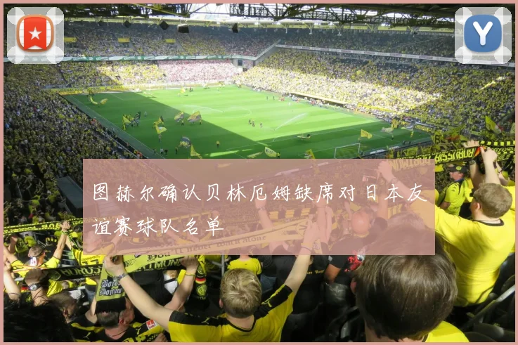 图赫尔确认贝林厄姆缺席对日本友谊赛球队名单